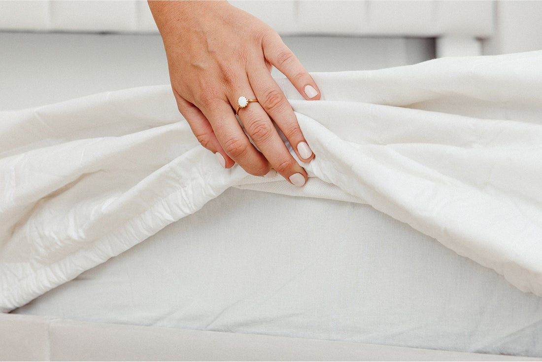 The Silk Lined Protector Bundle