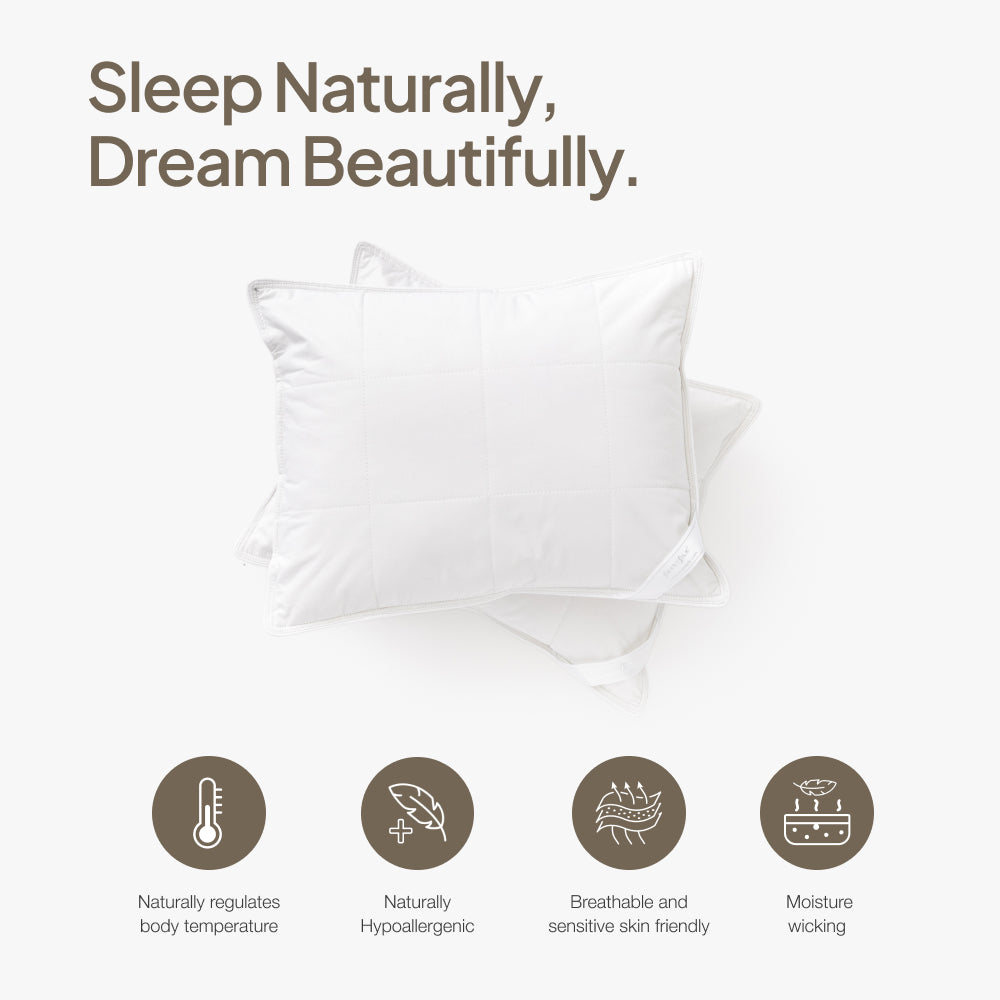 Silk Lined Support Pillows | Set of two