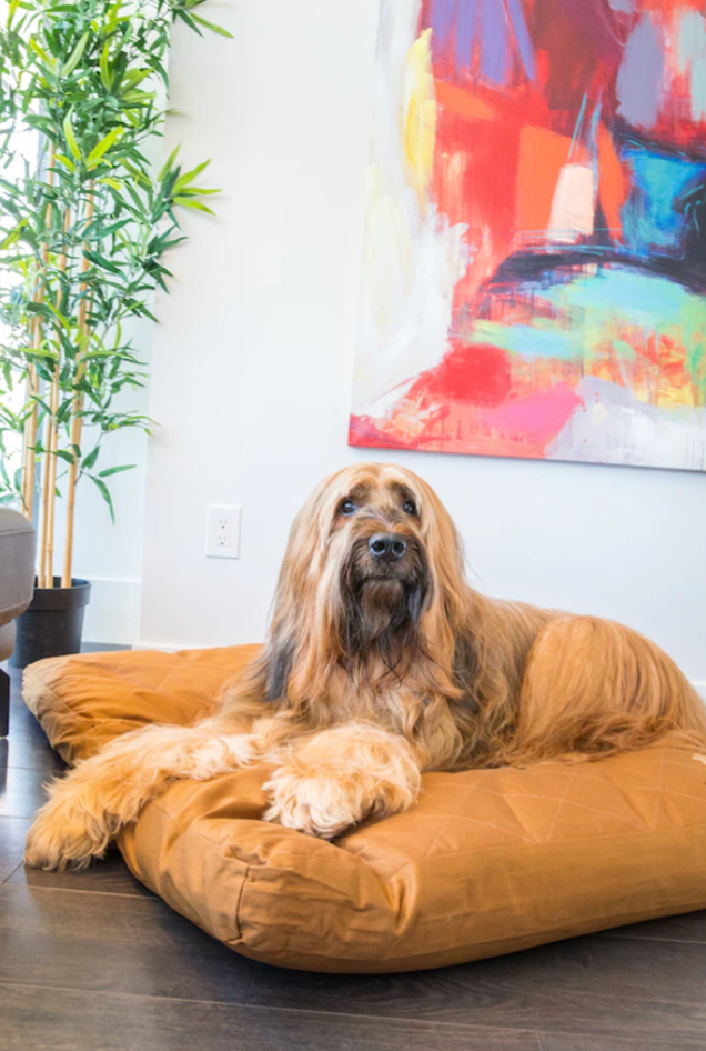 Cotton dog bed best sale