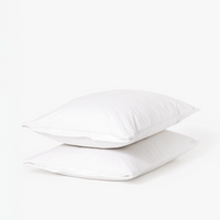 Silk Lined Pillow Protector | Set of two