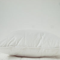 Silk Lined Pillow