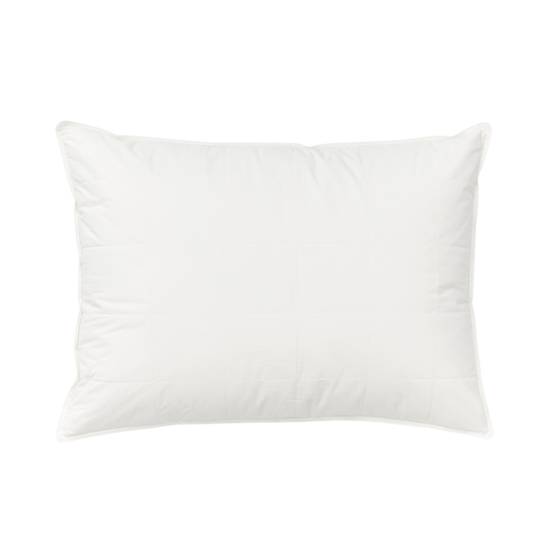 Silk Lined Pillow