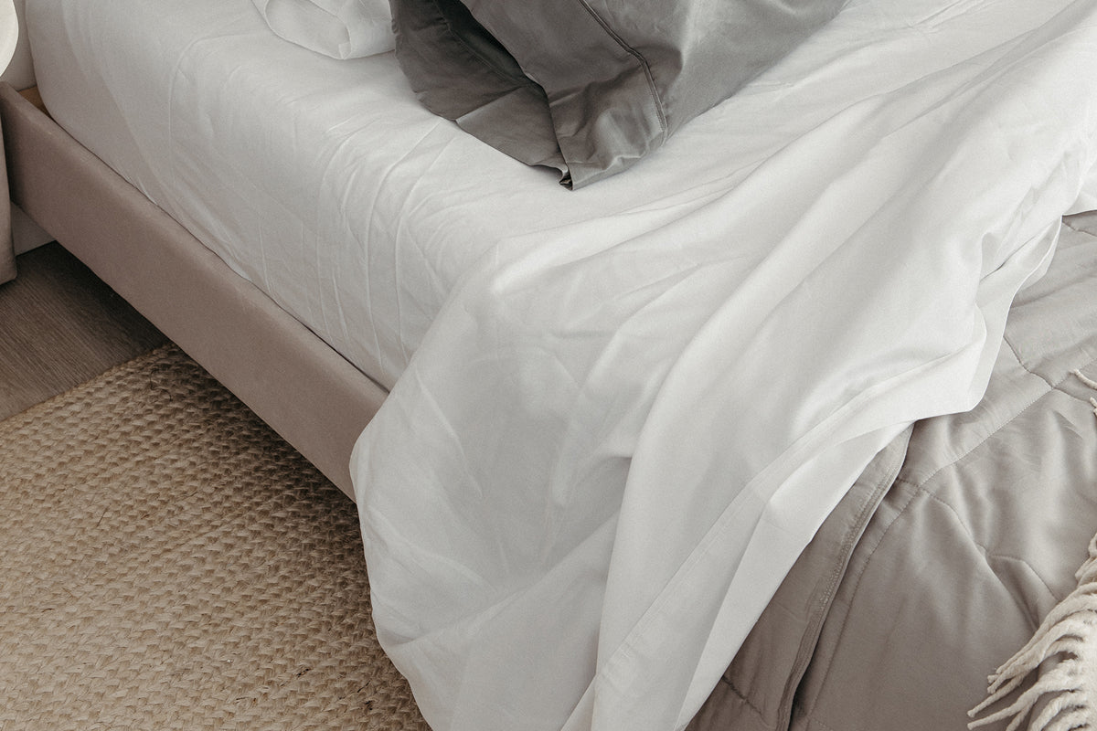 Mattress Bed Bug Protector: How to Choose and Why You Need One